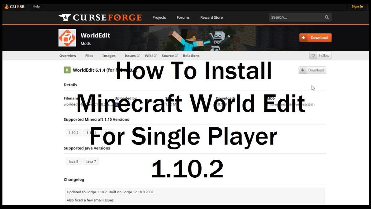 Minecraft single player world